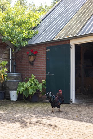 Medium property photo - Halbe Wiersemaweg 6, 9365 TB Niebert